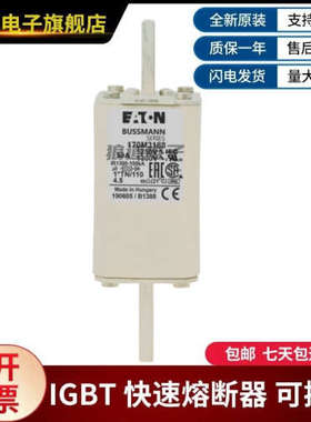 原装正品现货170M3188 170M3191 170M3192型号齐全巴斯曼熔断器
