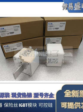 美国BUSSMANN巴斯曼熔断器 170M6019 170M6020 170M6021 全新原装