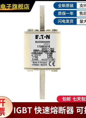 供应全新现货170M3016 170M3017 170M3018 170M3019巴斯曼熔断器