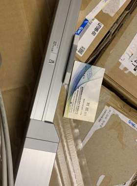 LEFS32RS3H-300-R5A2H 电动执行器 无杆型 滚珠丝杠驱动SMC