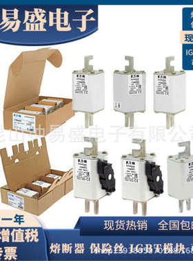 巴斯曼Bussmann熔断器1000V  250A   170M4967 170M4982