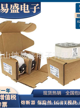 Bussmann熔断器170M7138 170M7139 170M7140 170M7141 170M7142