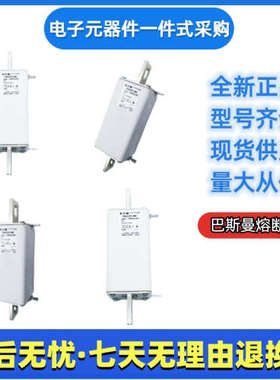 美国巴斯曼bussmann熔断器170M3146 170M3147 170M3148