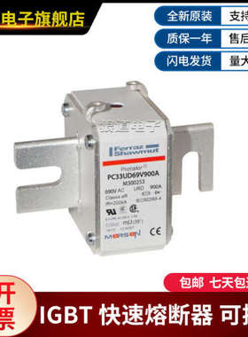 PC33UD69V900A-M300253 PC33UD69V900D1A-Y300263罗兰快速熔断器