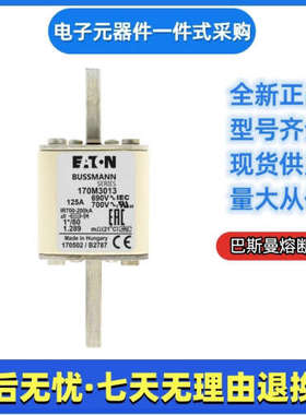 巴斯曼 bussmann 熔断器 170M3013 170M3014 170M3015 170M3016