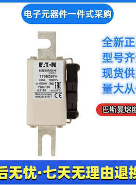 巴斯曼快速 低压熔断器170M3973 170M3974 170M3975 170M3981