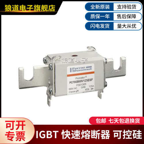 PC70GB69V125ESF-F301305 PC70GB69V160ESF-G301306罗兰快速熔断