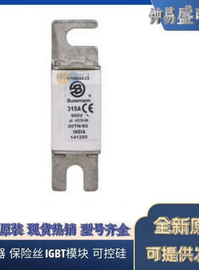 美国BUSSMANN熔断器170M4242  170M4243  170M4244  170m4245