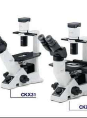 倒置荧光显微镜   CKX41-F32FL