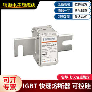 PC33UD69V800D1A-X300262 PC33UD69V800EF-D300222罗兰快速熔断器