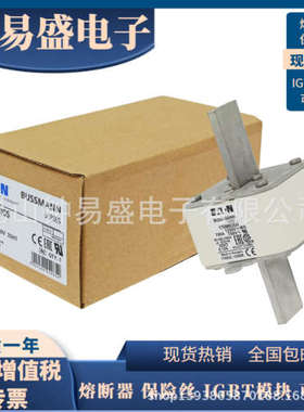 Bussmann熔断器170M6305 170M6306 170M6307 全新原装