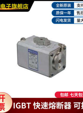PC91UF15C100TF PC232UD69V8CTF-T300305罗兰快速熔断器熔断式