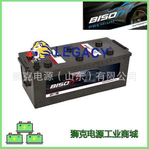 德国BISON蓄电池BS629 12V155AH-1电瓶