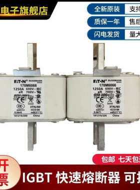 供应正品原装现货170M6066 170M6067 170M6068巴斯曼熔断器