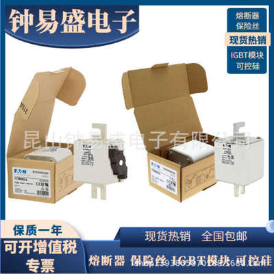 巴斯曼Bussmann熔断器1000V  450A   170M8617 170M8632