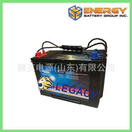 美国ENERGY POWER蓄电池EP-EV34-65R-X、EP-EV185-250A-AM电瓶