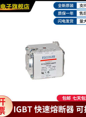 PC72UD85V1000TF-T301294 PC73GB69V10CD1A-S302673罗兰快速熔断
