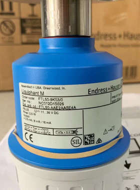 瑞士E+H流量计50W1F-H50A1A10B7AW，优势供应