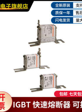 DN000UB69V125--M330038 DN00UB69V16L-V330275罗兰快速熔断器