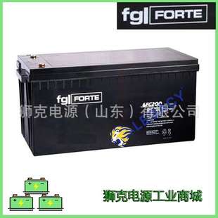 德国FG 12V200AH电瓶 FORTE蓄电池6FG200