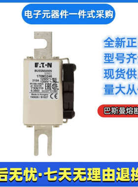 美国巴斯曼bussmann熔断器170M3246 170M3247 170M3248
