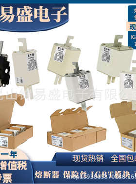 巴斯曼Bussmann熔断器1250V 160A    170M3143 170M3193 170M3243