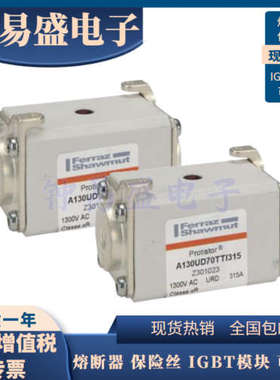 全新罗兰熔断器A130UD70LI063 W300652/A130UD70LI315 D300659
