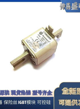 美国BUSSMANN熔断器170M3969 170M3970 170M3971 170M3972