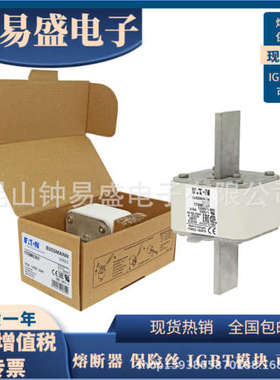 Bussmann熔断器170M6301 170M6302 170M6303 170M6304全新原装