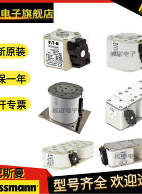 巴斯曼熔断器170M3965 3966 3967 3968 3970 3971原装正品现货