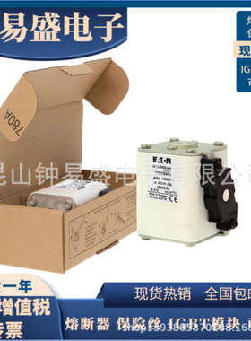 Bussmann熔断器170M8536 170M8537 170M8538 170M8539 170M8540