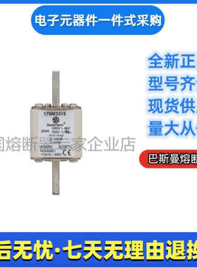 巴斯曼 bussmann 熔断器 170M3315 170M3316 170M3317 170M3318