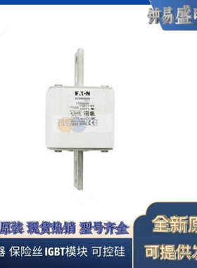 美国BUSSMANN熔断器170M6512  170M6513  170M6514  170M6515