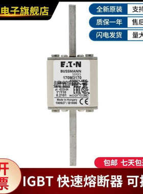 供应正品原装170M3170 170M3171 170M3172 170M3173巴斯曼熔断器