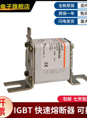 DN00UB69V20L-T330274 DN00UB69V25L-M330268罗兰快速熔断器
