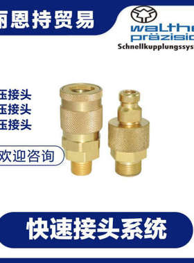 止回阀 选德国 GESTRA RK44 DN80 PN16