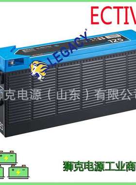 狭长型GEL 12V125AH德国ECTIVE蓄电池