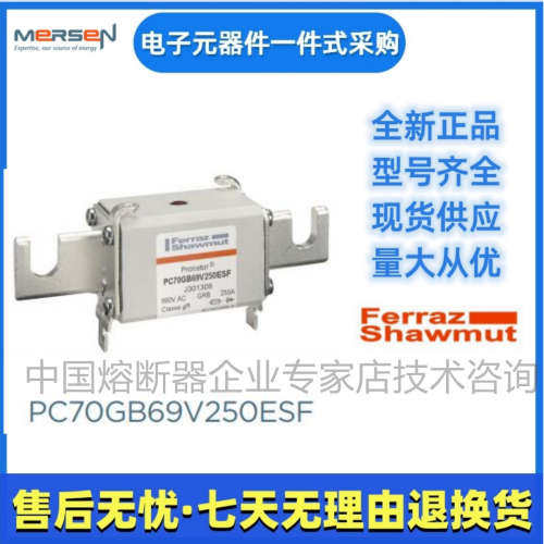 Ferraz罗兰熔断器PC70GB69V125TF G301283美尔森Mersen