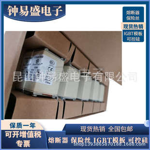 170M1318 全新原装 170M1317 170M1316 170M1319 巴斯曼熔断器