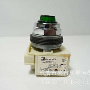 Module LED 9001 Green 120V Resist Light 30mm KM38LG Square