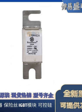 美国BUSSMANN熔断器170M4438  170M4439  170M4440  170M4441