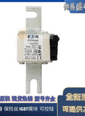 美国BUSSMANN熔断器170M5512  170M5513  170M5514  170M5515全新
