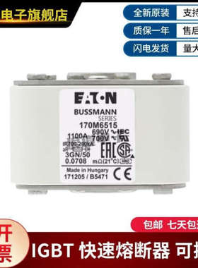 巴斯曼熔断器 型号齐全现货170M6512 170M6513 170M6514 170M6515