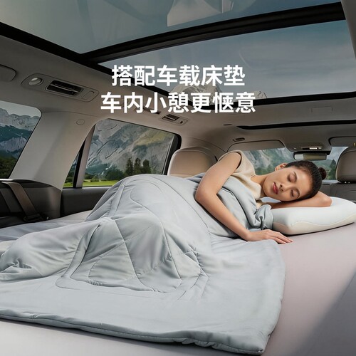 8H小睡仙三合一抗菌机洗抱枕被