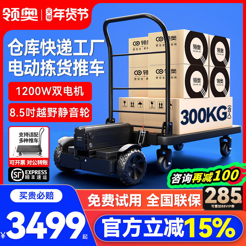 领奥电动小型手推车仓库快递代步平衡车载货搬运神器工具车平板车