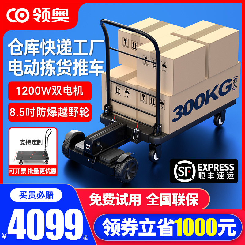 领奥电动小型手推车仓库快递代步平衡车载货搬运神器工具车平板车