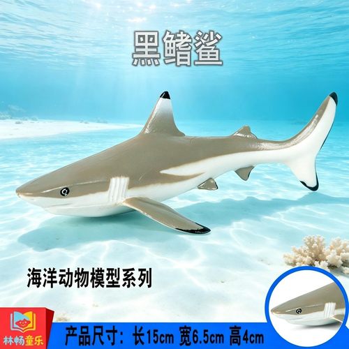 林畅童乐儿童海洋动物玩具黑鳍鲨模型仿真鲨鱼摆件乌翅真鲨认知