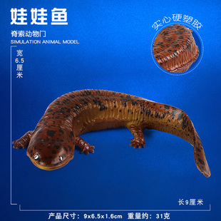 两栖爬行动物玩具娃娃鱼模型仿真亚洲大鲵实心儿童科教认知摆件