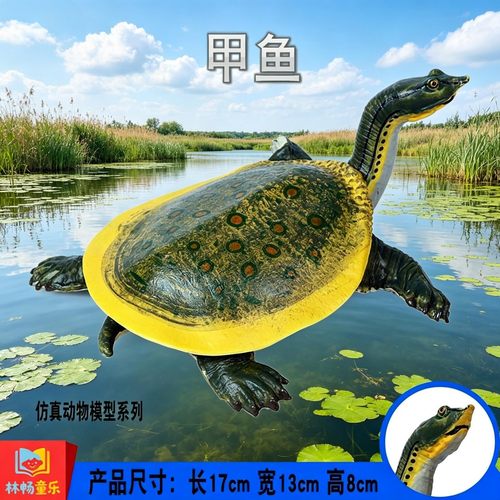 林畅童乐儿童两栖爬行动物玩具甲鱼模型仿真老鳖摆件实心科普认知