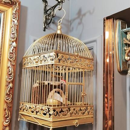 金色铁艺养鸟笼八哥鹦鹉画眉虎皮鹩哥斑鸠绣眼玄风大号鸟笼子包邮